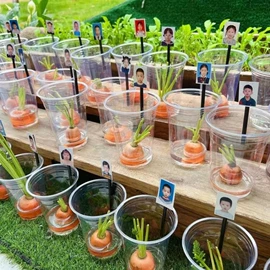 拼插类玩具;其他益智玩具;陶瓷彩绘沙画