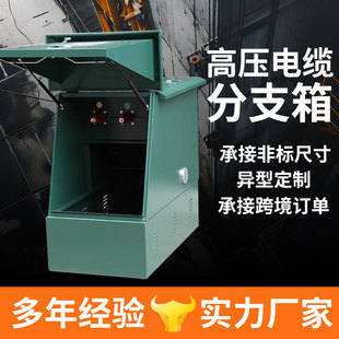 10KV�߉���|��֧��DFW-12/630A��֧��һ�Mһ�����������ֽ���S