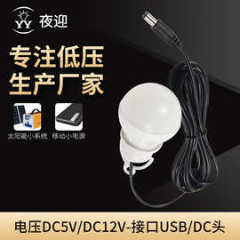 12v低压DC头USB便捷球泡灯  夜市移动电源灯泡  太阳能系统灯批发