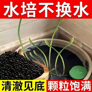 ��ɏ������˯ɏ��ˮ����߷�������ˮ��ˮ������ˮ���~�X��������