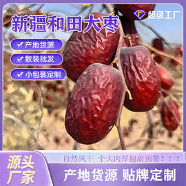 正宗新疆和田大枣骏枣新货新鲜一级红枣干货狗头枣一斤大枣和田枣