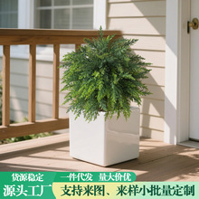 �羳؈β�ݷ���Gֲ�ز�Ҿ��b��}�QС����⻨�@��ֲ���b�����