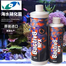 海水缸菌种 Bactiv8 NPX 250ml 两只小鱼硝化细菌 消化菌