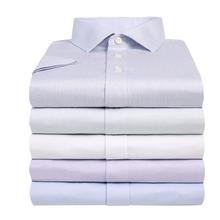 高档DP成人免烫衬衫男式短袖商务正装纯棉鲁泰面料白蓝衬衣绣lo