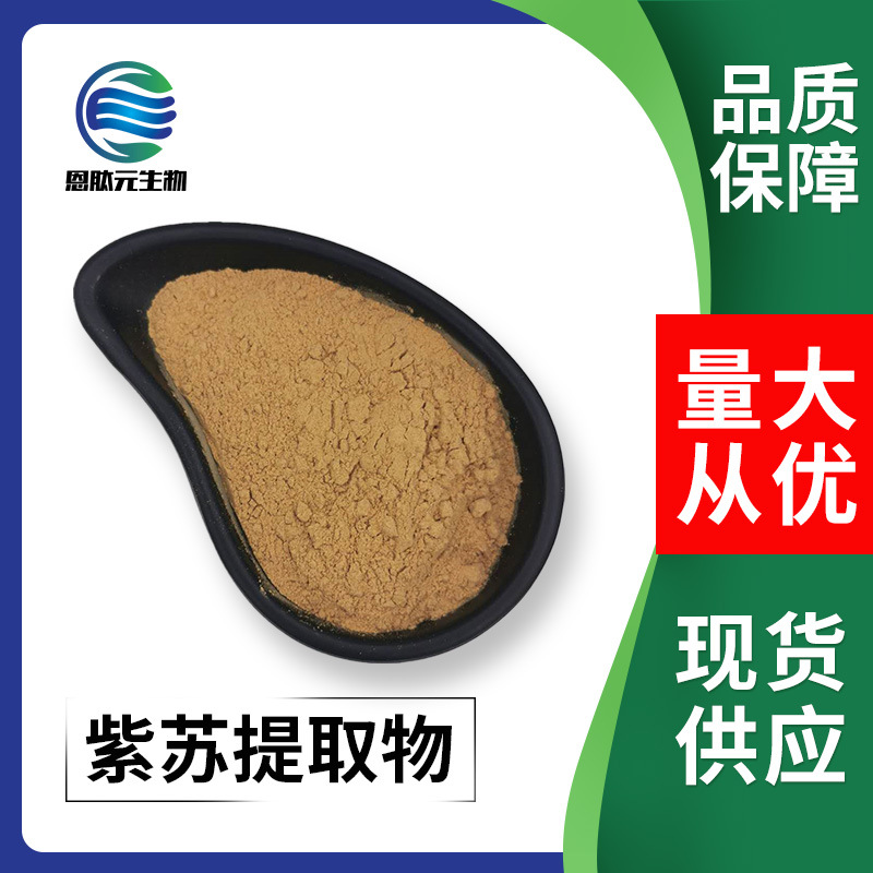 紫苏提取物 10：1 紫苏叶提取  现货供应 量大从优紫苏提取物粉