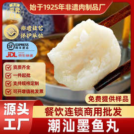 正宗潮汕墨鱼丸墨斗丸子麻辣烫关东煮花枝丸火锅食材餐饮商用批发
