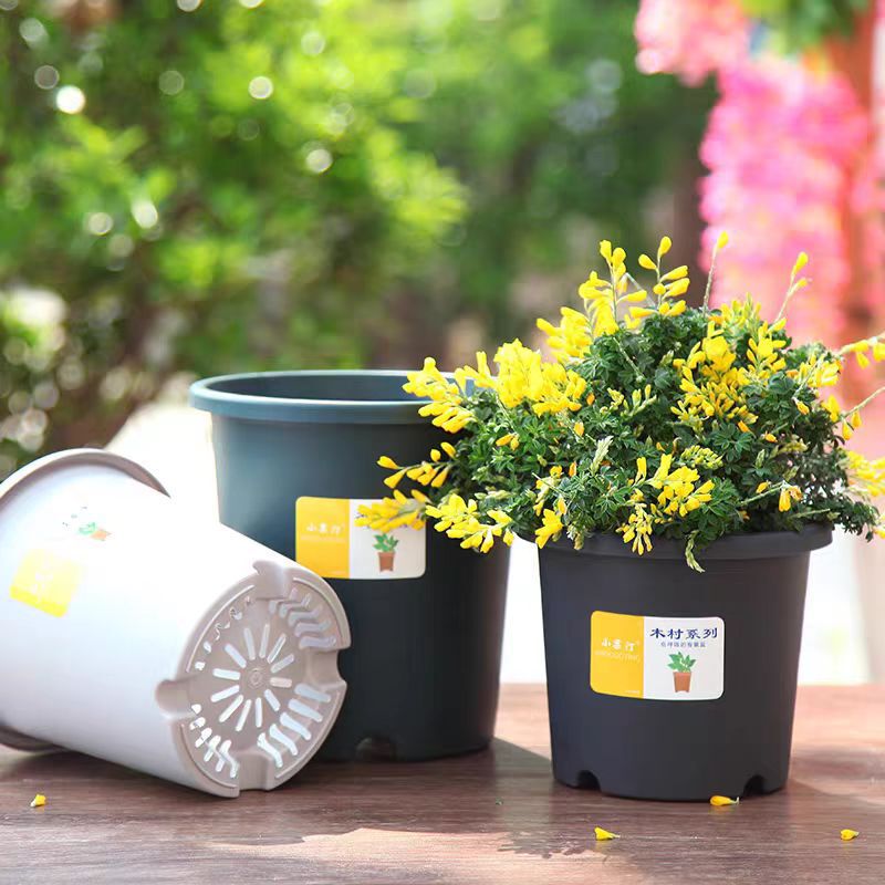 Factory Direct Thickened Small Fruit Ting Nordic Style Green Mountain Basin Rose Green Plant Breathable Simple Home Root Control Gallon Basin