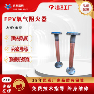 FP-XT����ܵ������FPV-XT�yǰ�y���mDN100���~�Ͻ𺸽������