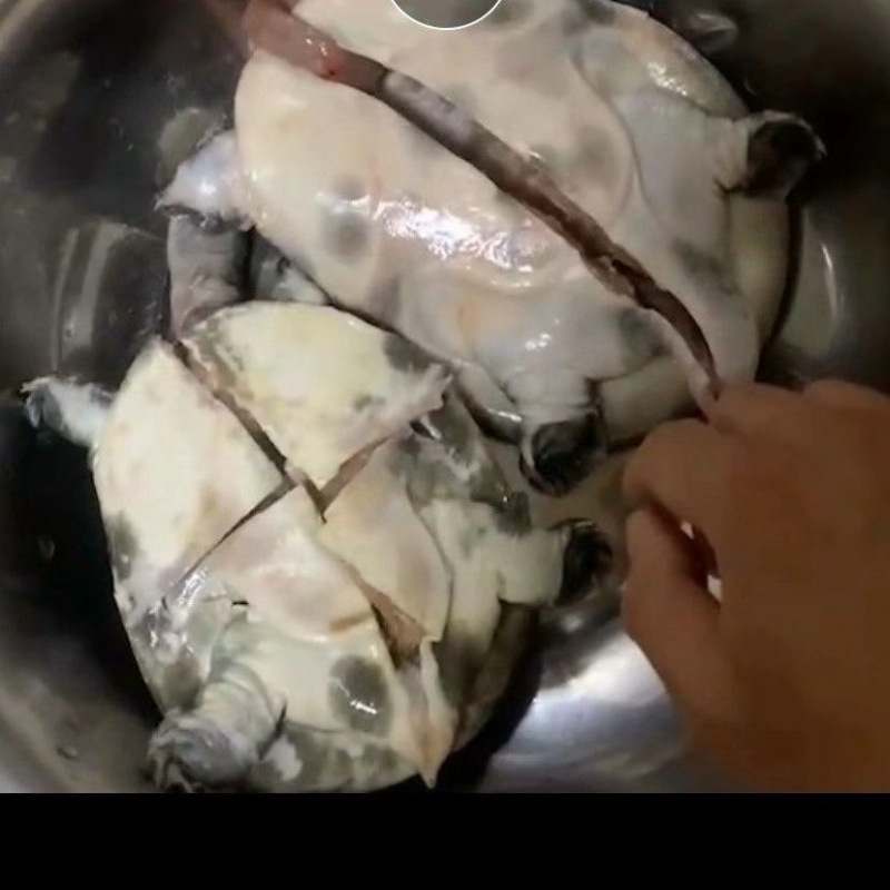 도살대히트총 1.5kg팩(이벤트)