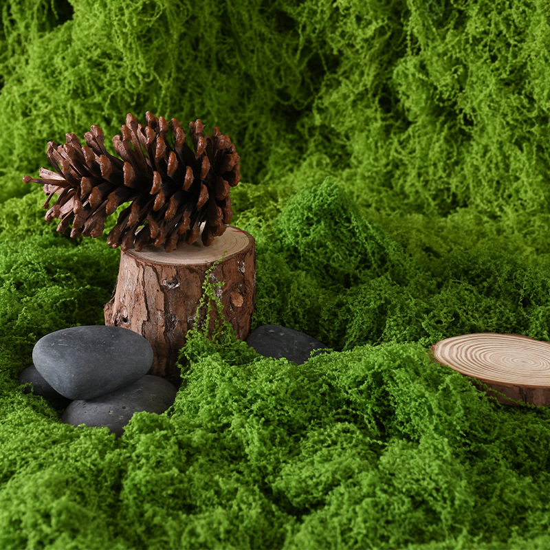 Simulación de musgo filamento césped artificial musgo micro paisaje diseño de césped en maceta plantación en maceta pavimentación paisajística mayorista
