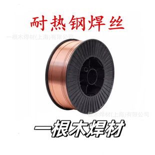 �Ϻ����R30 R31�͟�䓺��zPP-MG55-B2V 62B3 ���Ᵽ���zER55-B2