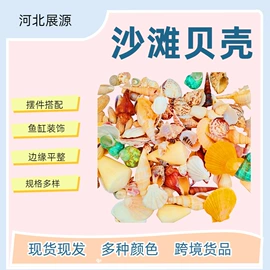 沙石砾石;海螺/贝壳;造景石