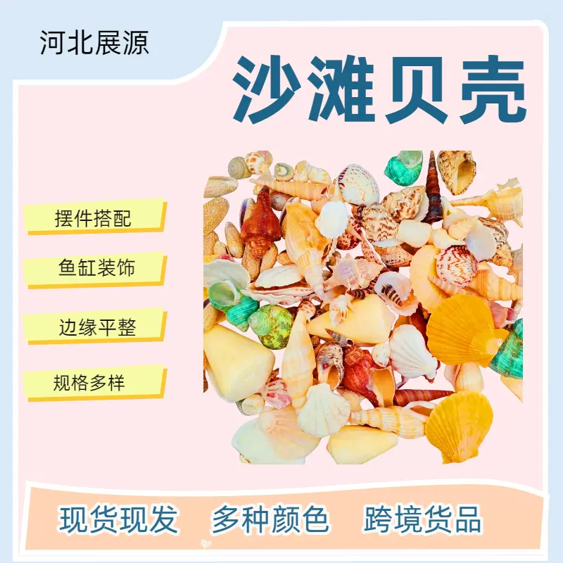 鱼缸造景微景观漂流瓶配件装饰批发各种贝壳海螺珊瑚微景观装饰