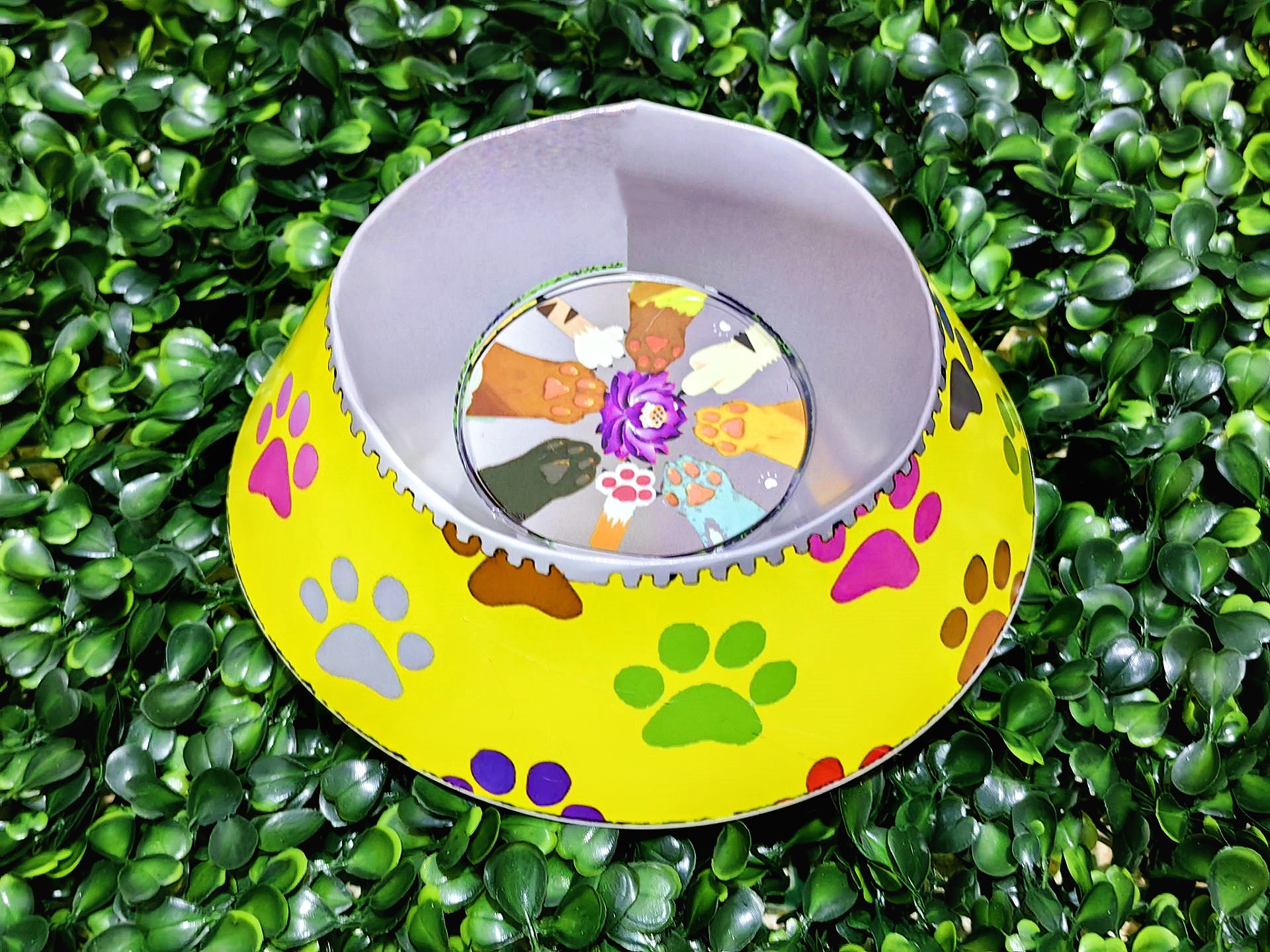 QQ图片20240614202430_副本