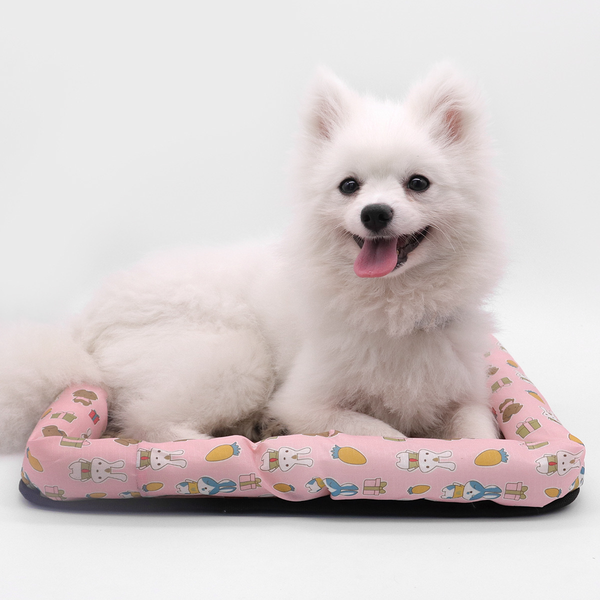 Estera de celebridades de Internet Estera para mascotas Estera de verano para mascotas Nido Teddy Golden Retriever Estera para perros Nido para gatos Four Seasons Universal