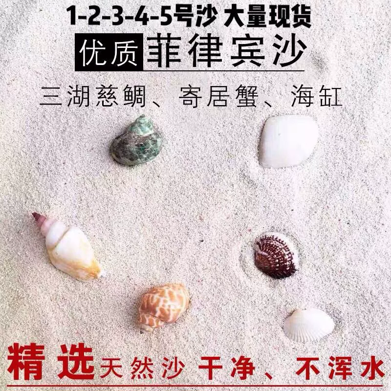 Бесплатная доставка Филиппинский песчаный морской аквариум для озерения крабов-отшельников