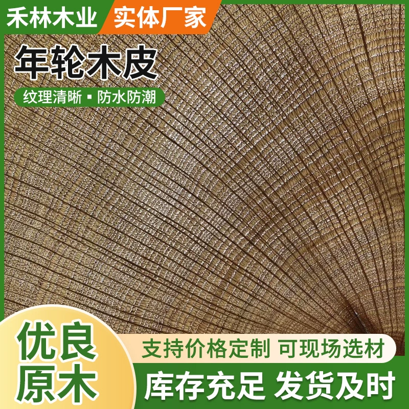 Спотовая изогнутая годовая круглая корень дерева