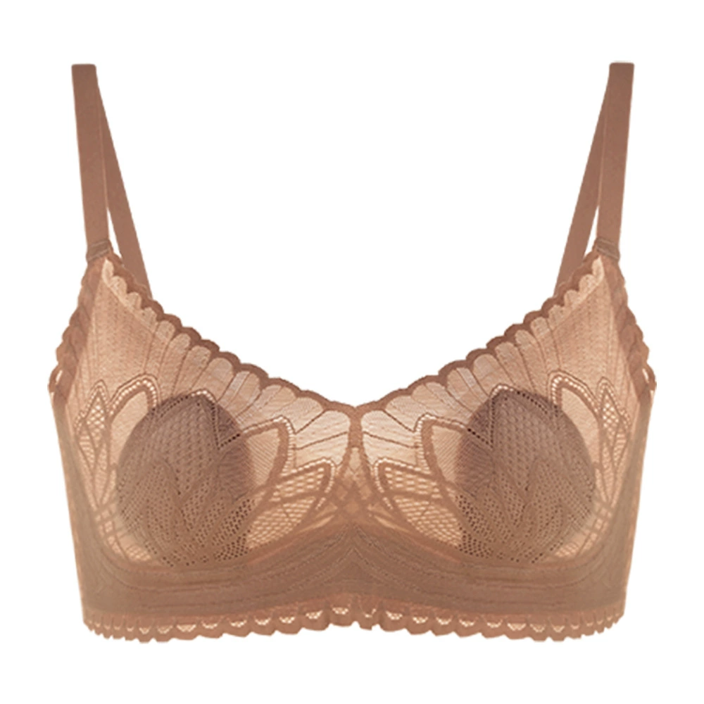 Lace latex antibacterial underwear, bra, autumn