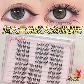 免胶免卸款超大量大脸猫假睫毛上镜灵动放大双眼上眼清透感睫毛