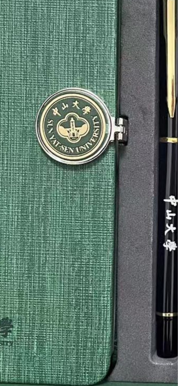 Laptop, USB flash drive, rollerball pen, badge, set