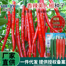 �������˽��N���L�����N����������΢���⽷�߲�����@ͥԺ�˷N��