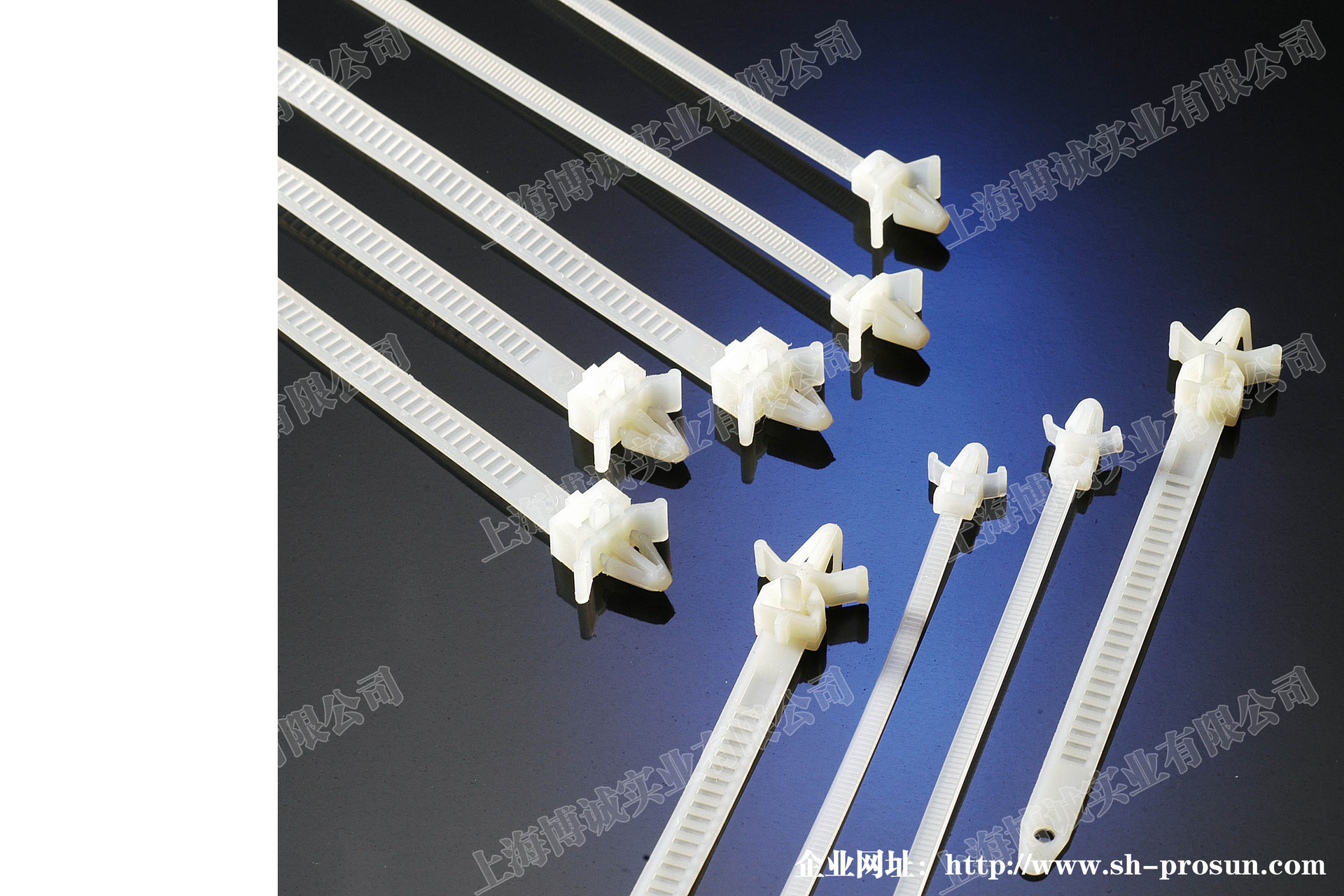 插装式尼龙扎带