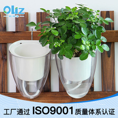 Olinze 植木鉢シンプルな完全透明プラスチック怠惰な壁掛け植木鉢厚みのある家庭用自己吸水壁掛け貯水盆地