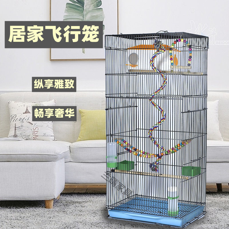 17ad62ff-1813-4963-89ee-63ce415169b9.jpe