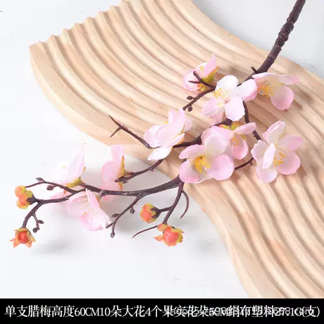 Wintersweet single pink