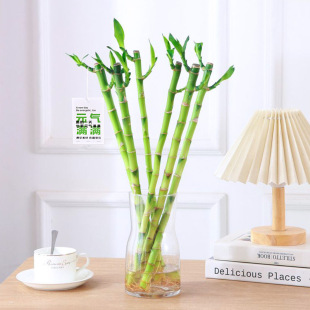 �_�\��ˮ���^�~ֲ�︻�F�񲽲����҃�ˮ�B�^�~�Gֲ�ļ������ҕ��