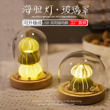 厂家圆柱球形海胆小夜灯永生干花透明玻璃罩子USB底座带串灯摆件