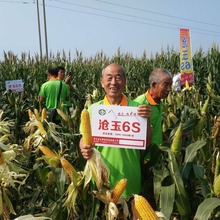 �r�I���׷N�Ӝ���6S �����r����Nֲ ����Ʒ�N