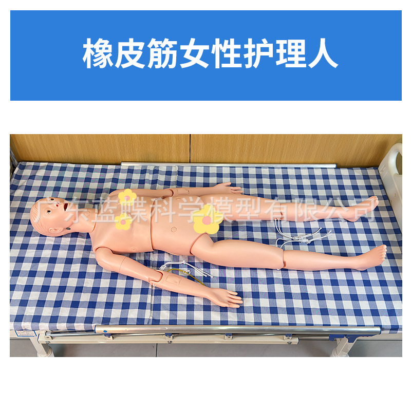 Ů�Ի�����ģ�� �������������ϻ�����ѵ ��ɩ����ʦ�̾߻���ģ��