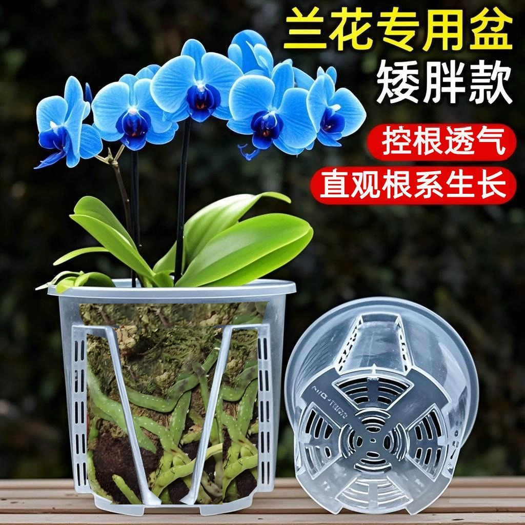 Толстый карлик PP цветочный горшок пластиковый воздухопроницаемый луковичный тюльпан лилия алопин красный шафран специальный большой цветочный горшок