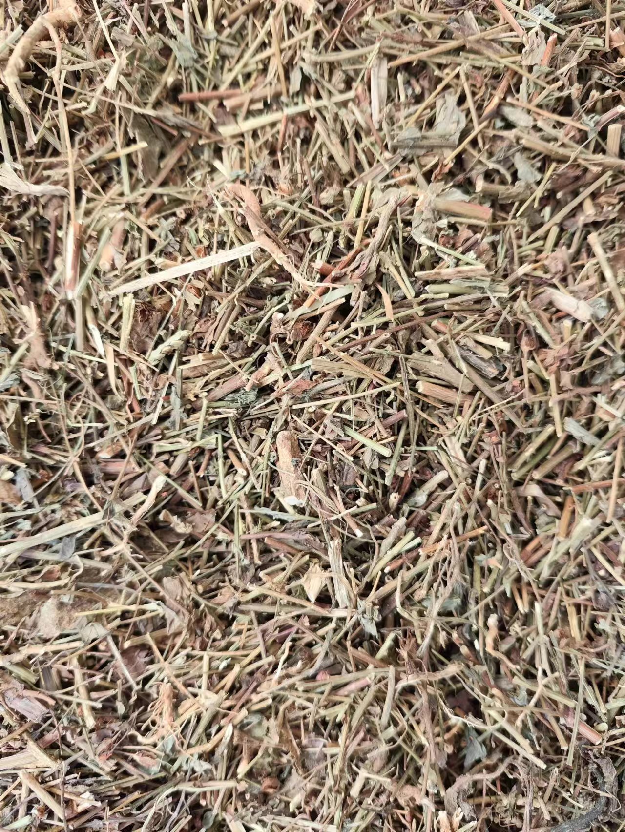 Tian Ji Huang (Hypericum japonicum) — Dried Food Herb, 500g, Custom Grinding Available key features