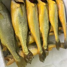 ��ɽ���S�~һ������һ�l�|�O�u����S�~���l���l�S���~�r�����