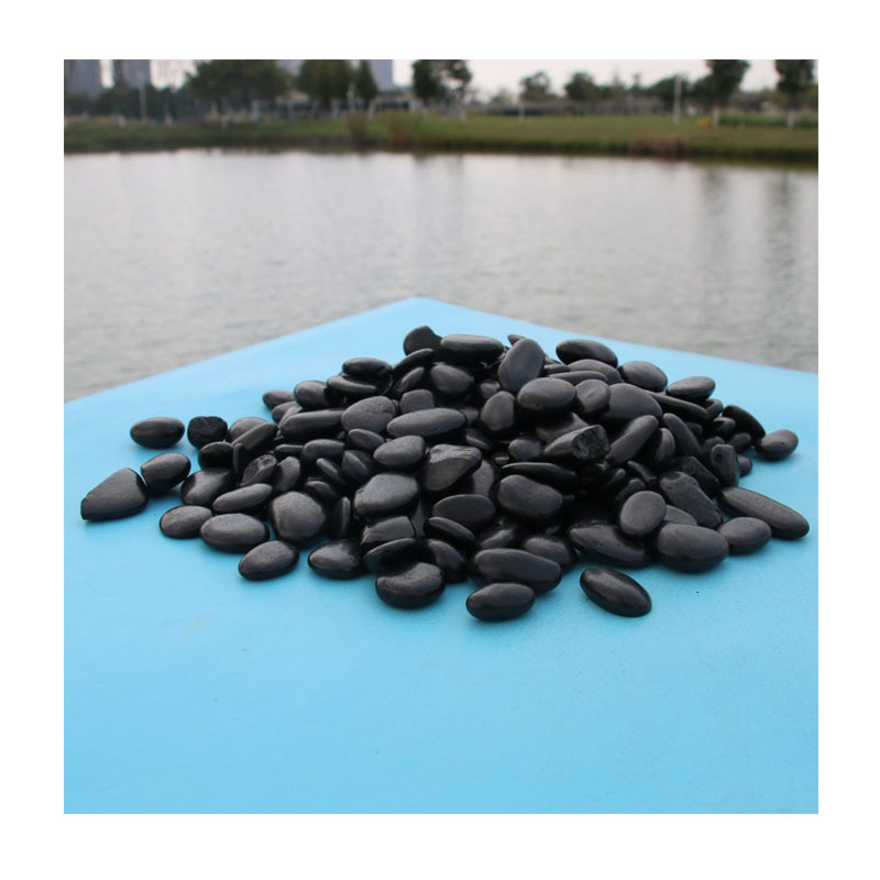 ɫ̼ˮĥʯƺɫʯӰʯѧУܵҾװ