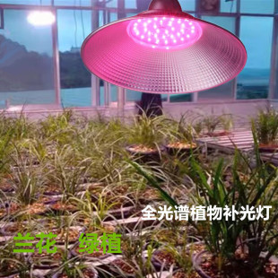 LED Full Spectrum Plant Growth Light Pitaya Flower Greenhouse Vegetable Indoor Balcony Orchid Planting Light