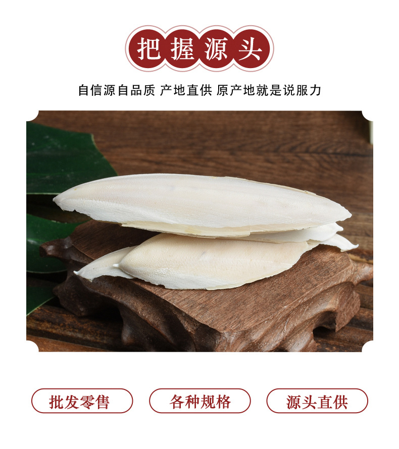 Hai Piao Xiao (Sepia esculenta) — Dried Cuttlebone Piece, Traditional Chinese Herb key features