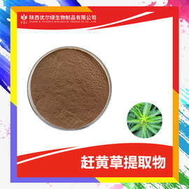 赶黄草提取物10-1比例萃取 另有赶黄草粉 水泽兰粉 浸膏
