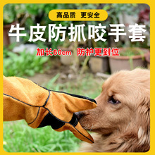 宠物防抓咬手套狗犬特训抓眼镜蛇鳄鱼加厚猫咪洗澡牛皮防护手套