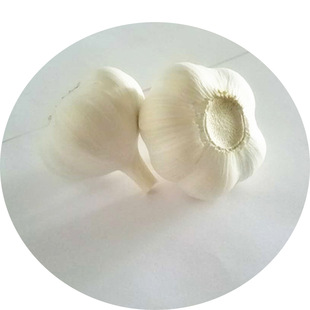 ��ɽ�|�����^���г��ڴ��ӹ������l�t������s�����^���r����