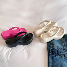 ɫɸ׊AֺЬ 2025ļʺ OӋeЬ