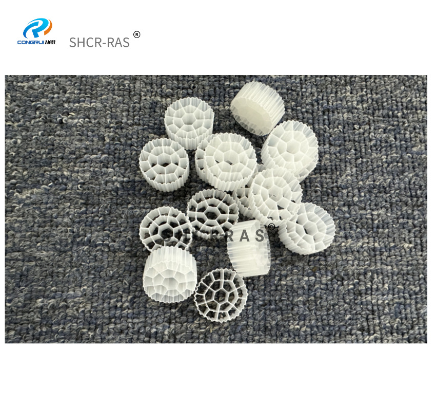 K3大直径经济实用型水产养殖氨氮亚硝酸盐生物处理材料