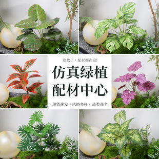 ��������С�Gֲ��ˇ�[�������쾰�ٴ�С����o�Ĳ廨Сֲ���b�Ʒ