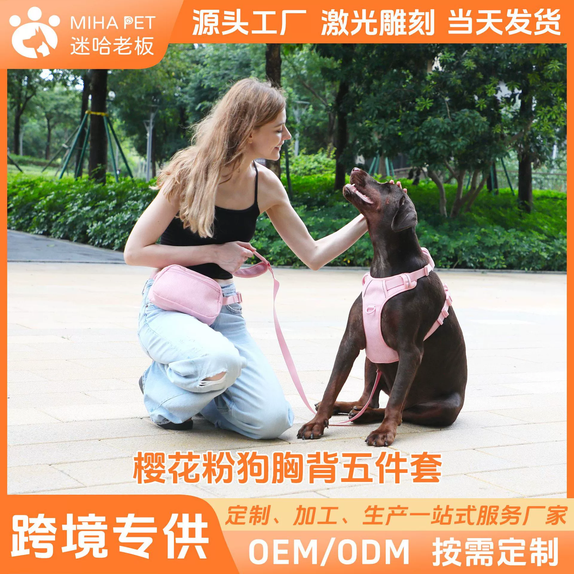 Собака Грудь назад новый модный дизайн розовый вельвет домашнее животное Грудь назад надписи собачий ошейник Веревка Собака Прогулка сумка