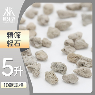 Light Stone Pumice Volcanic Rock Flowers Green Planting Fleshy Paving Planting Mixed Soil Substrate Light Stone