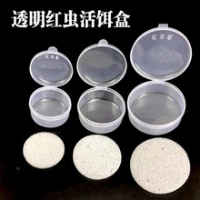 红虫盒子带孔透气沙蚕饵料蚯蚓盒垂钓用品配件透明保湿圆形蚯蚓盒