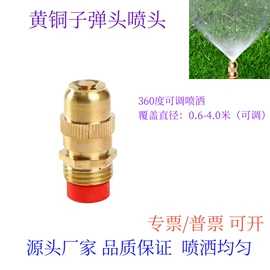 喷嘴、喷头;接头