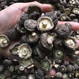 湖北农家产干货香菇香菇干小香菇干香菇香菇 家用香菇包邮